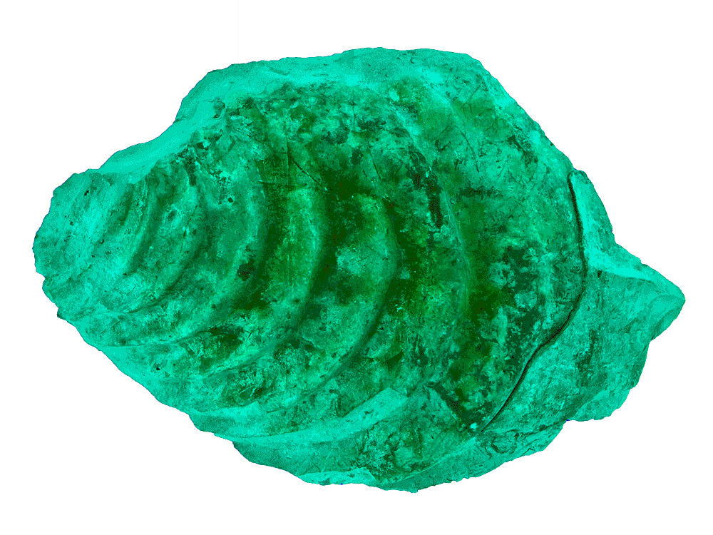 Steinwunder
