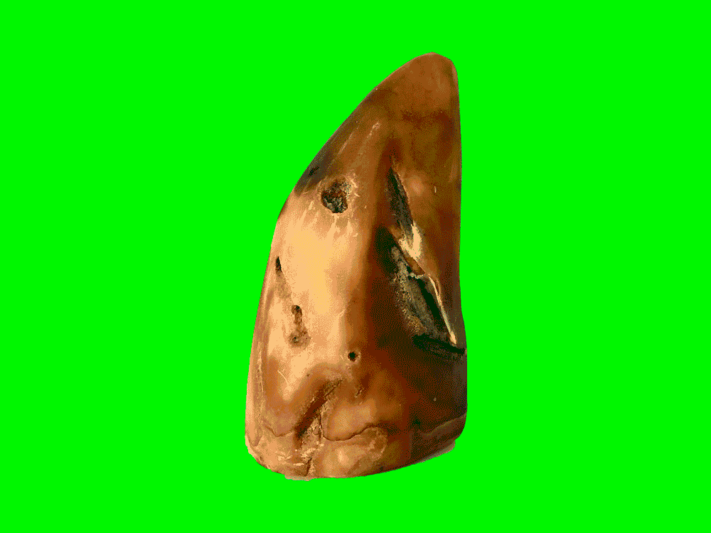 Steinwunder