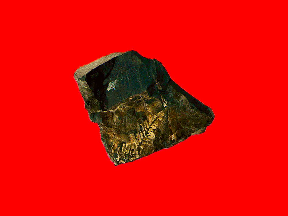 Steinwunder